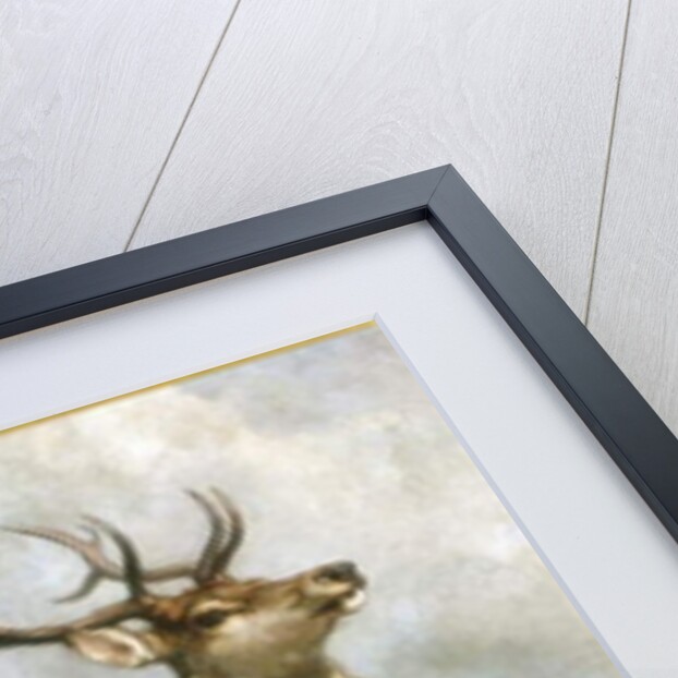 Deer of Chillingham Park, Northumberland, c.1867 by Edwin Landseer