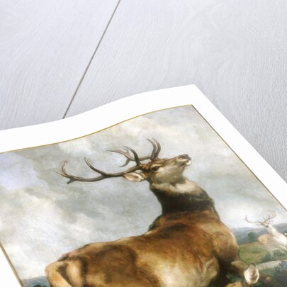 Deer of Chillingham Park, Northumberland, c.1867 by Edwin Landseer