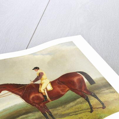 Bee's Wing, c.1840-45 by Harry Hall