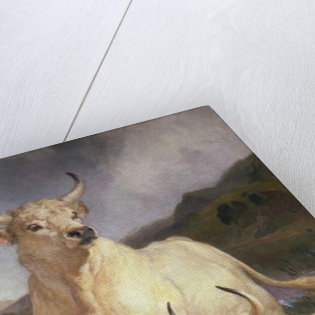 Wild Cattle of Chillingham, Northumberland, c.1867 by Edwin Landseer