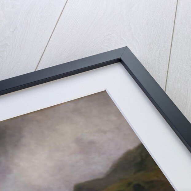 Wild Cattle of Chillingham, Northumberland, c.1867 by Edwin Landseer