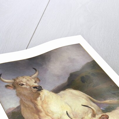 Wild Cattle of Chillingham, Northumberland, c.1867 by Edwin Landseer