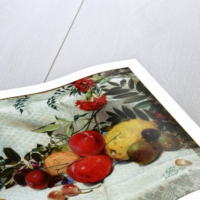 Study of Flowers and Fruit, 1860 by William Bell Scott