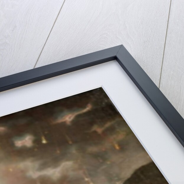 Biblical Destruction Scene by John Martin