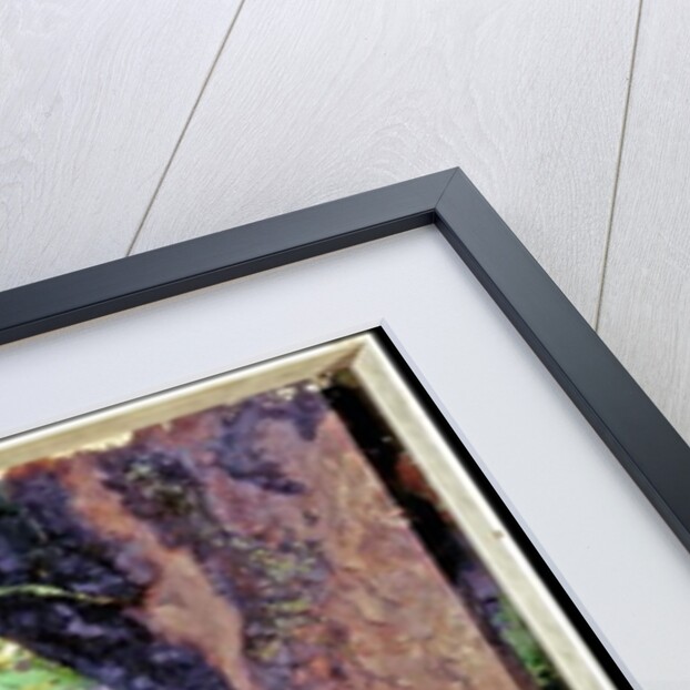 Garden Scene by Henry Straker