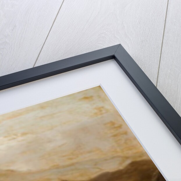 Landscape with Sheep by Anthony Graham