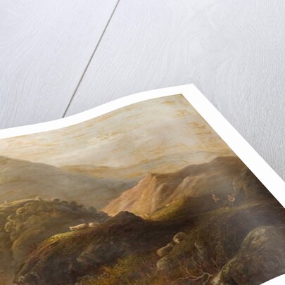 Landscape with Sheep by Anthony Graham