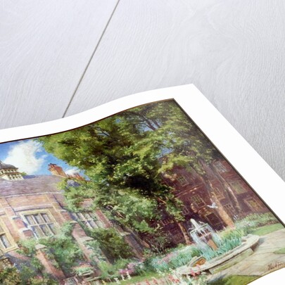 Garden by Henry Straker