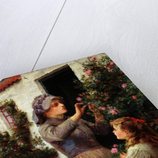 Roses for the Invalid, 1894 by Ralph Hedley