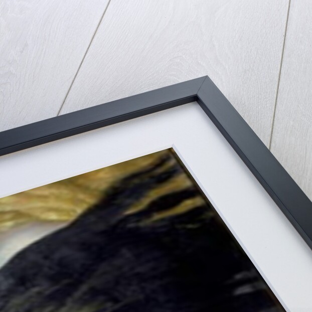 Night and Evening, c.1930 by Ernest Procter