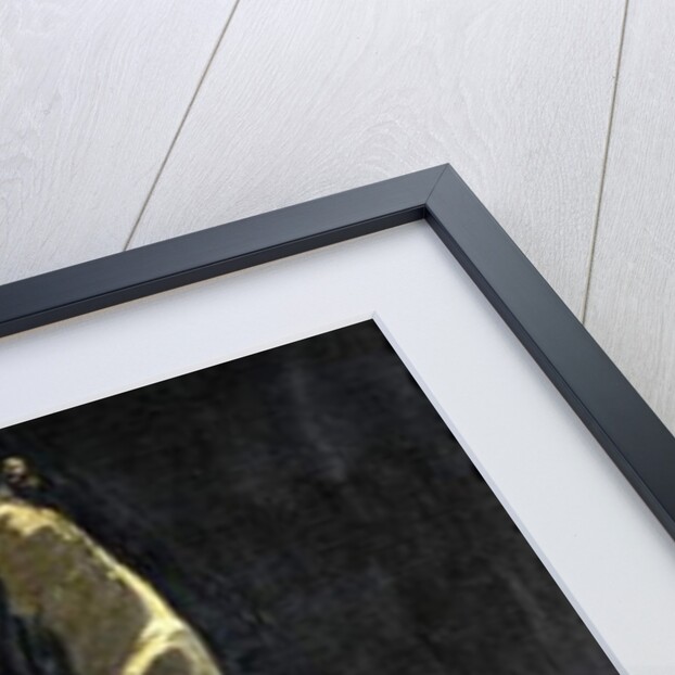 Hazel in Black and Gold, 1916 by John Lavery