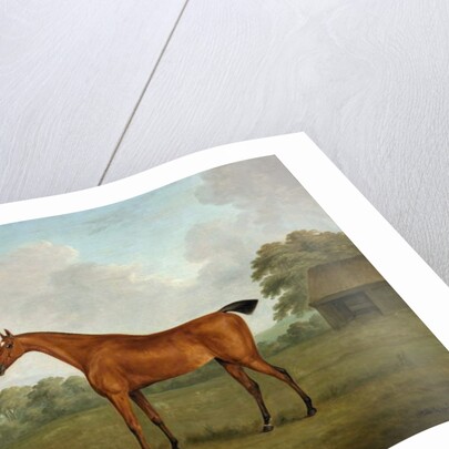 Chestnut Horse in a Landscape, 1815 by John Nost Sartorius