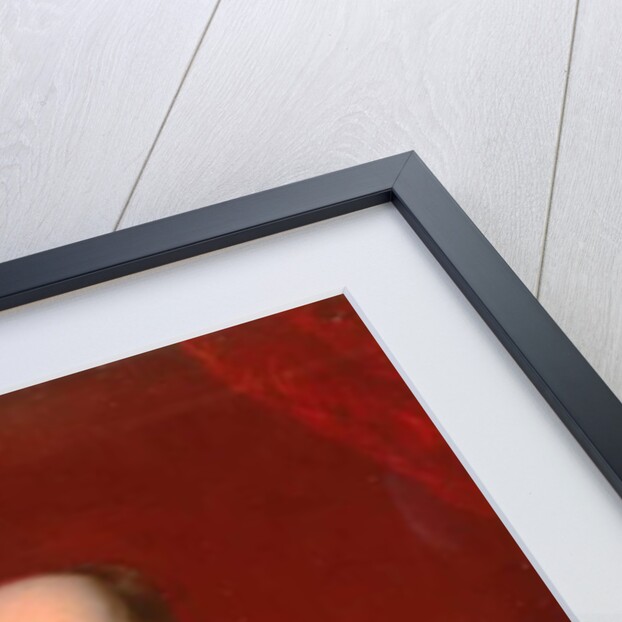 Portrait of the Right Honourable Earl Grey K.G., 1848 by Henry Hetherington Emmerson