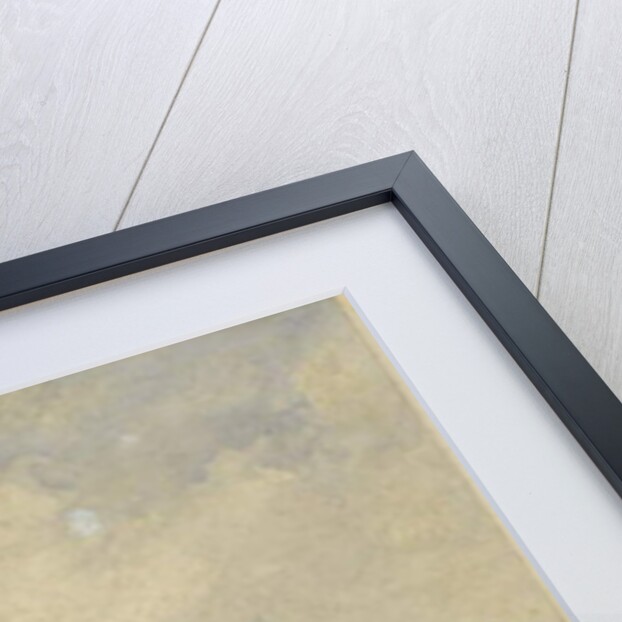 Landscape with Ruins by William Callow