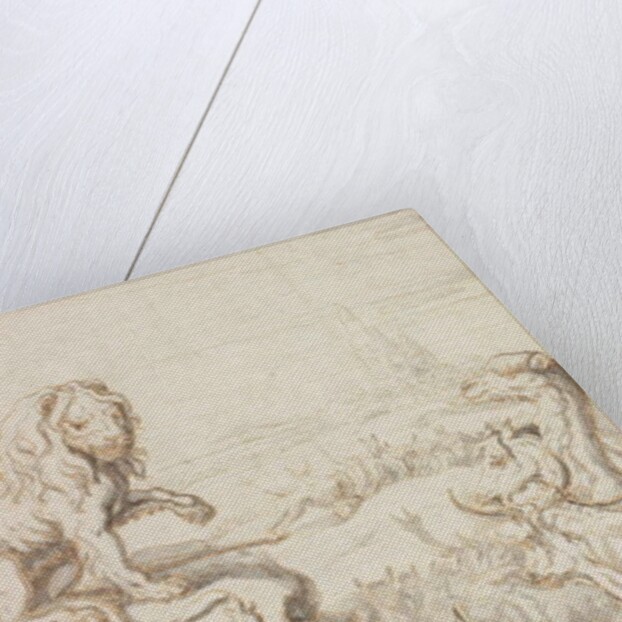 The Lion, King of the Animals by Francis Barlow