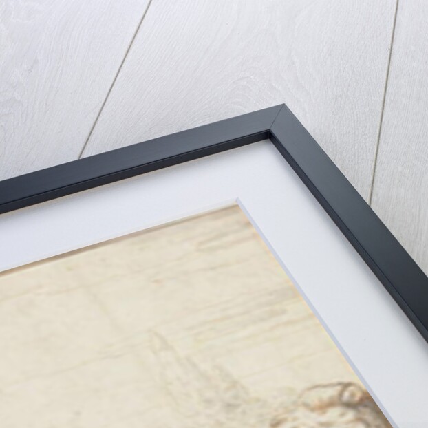 The Lion, King of the Animals by Francis Barlow