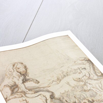 The Lion, King of the Animals by Francis Barlow