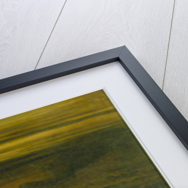 The Last Man by John Martin