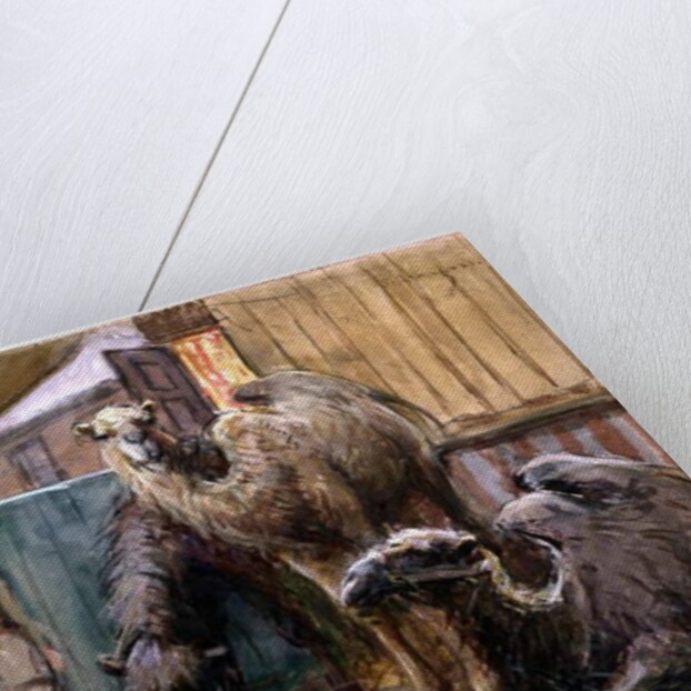 Bostock by John Atkinson