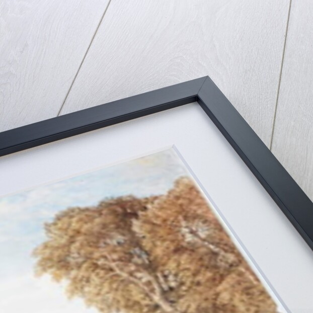 Classical Landscape by George Barrett