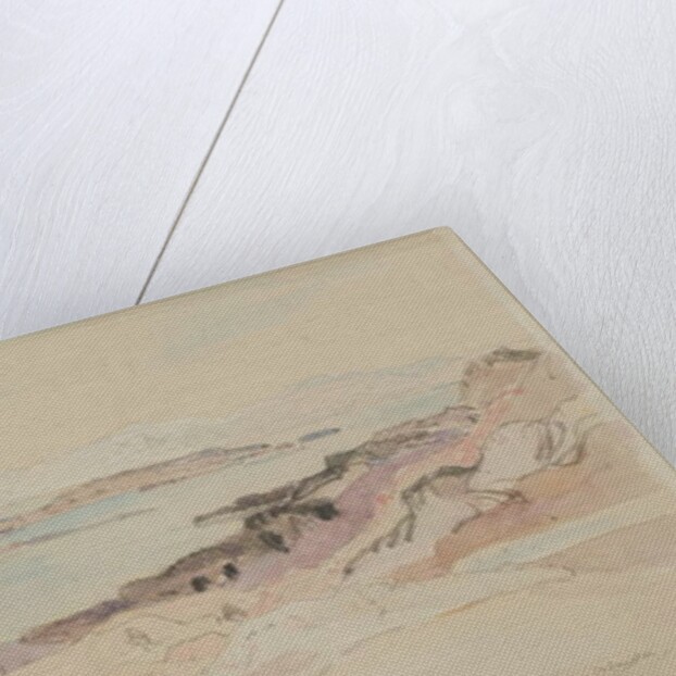 The Isle of Loch Maree by David Young Cameron