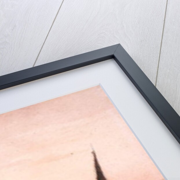 On the River Witham by Peter de Wint