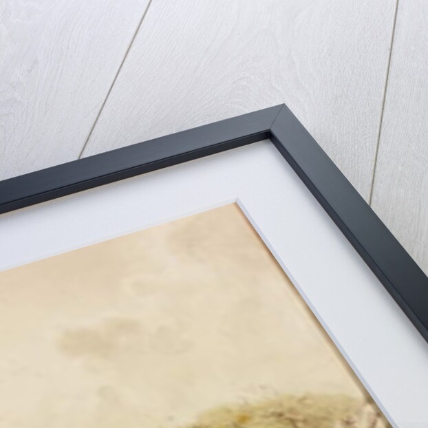 Housesteads, c.1848 by Henry Burdon Richardson