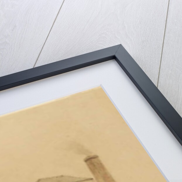 Friar's Goose Pumping Engine by Thomas H. Hair