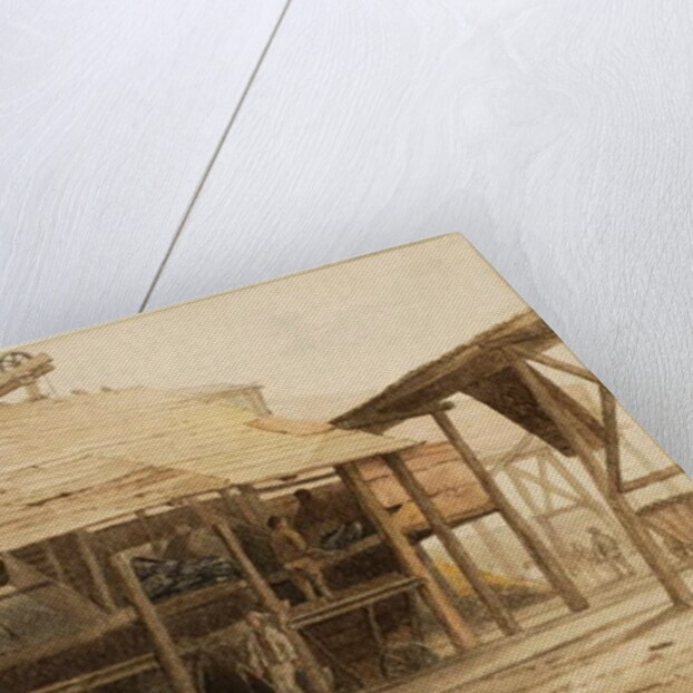 The Phoenix Pit, Old Etherly by Thomas H. Hair