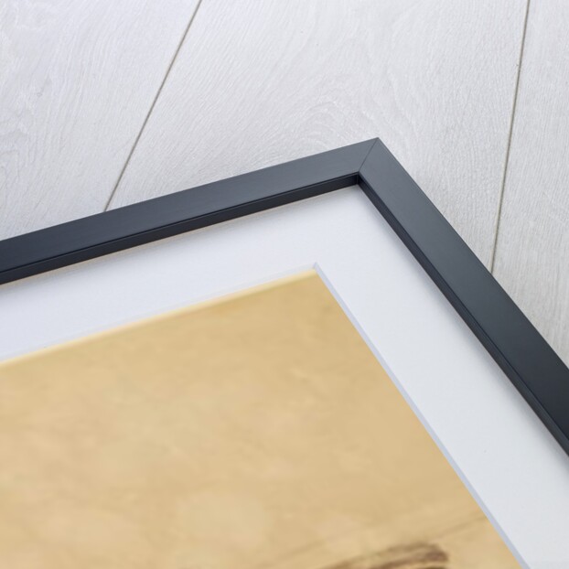 Hebburn Colliery, The A Pit by Thomas H. Hair