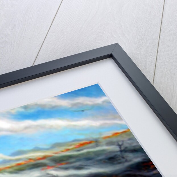 Scorched Earth, 2014, by Tilly Willis