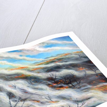 Scorched Earth, 2014, by Tilly Willis