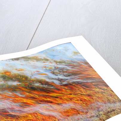 Bushfire Inferno, 2014 by Tilly Willis