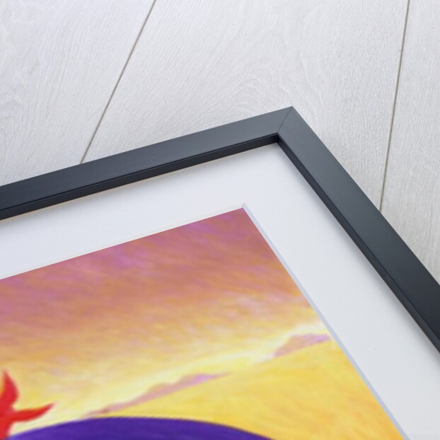 Washer Woman, 1999 by Tilly Willis