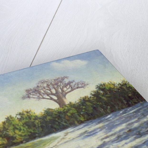 Fishing in Africa, 1996 by Tilly Willis