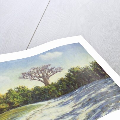 Fishing in Africa, 1996 by Tilly Willis