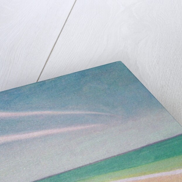 Indian Ocean, 1996 by Tilly Willis