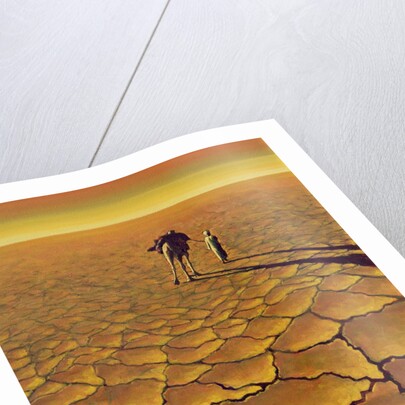 Saharan Journey, 1995 by Tilly Willis