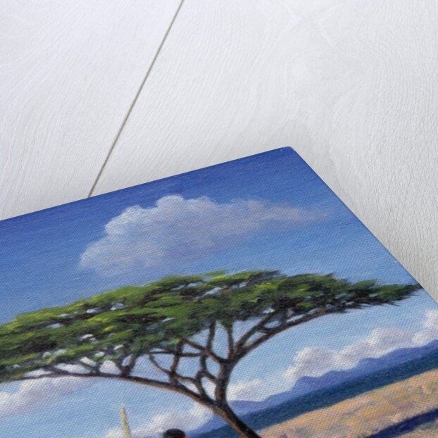 The Shady Tree, 1992 by Tilly Willis