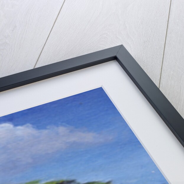 The Shady Tree, 1992 by Tilly Willis