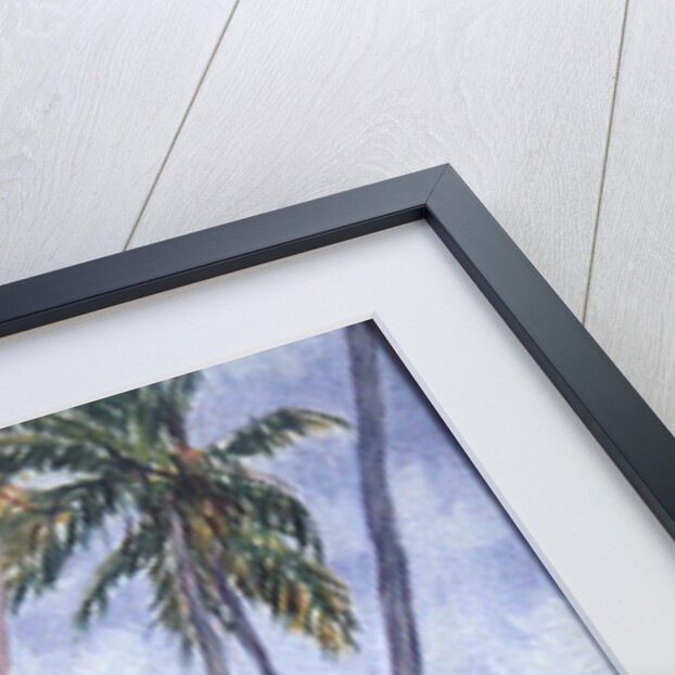 Rustling Palms, Zanzibar, 2002 by Tilly Willis