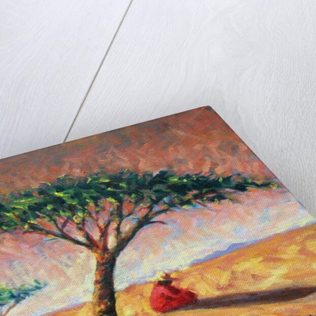 African Afternoon, 2003 by Tilly Willis