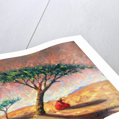 African Afternoon, 2003 by Tilly Willis