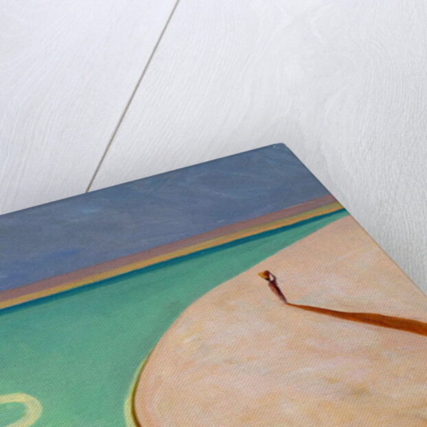 Serpentine Sunset, 2004 by Tilly Willis