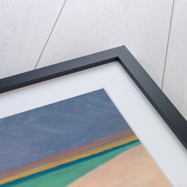 Serpentine Sunset, 2004 by Tilly Willis