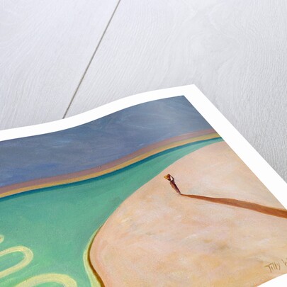 Serpentine Sunset, 2004 by Tilly Willis