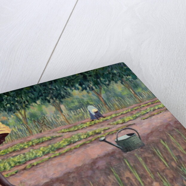 Planting Onions, 2005 by Tilly Willis