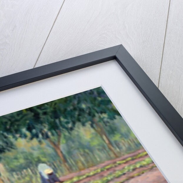 Planting Onions, 2005 by Tilly Willis