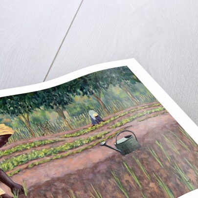 Planting Onions, 2005 by Tilly Willis