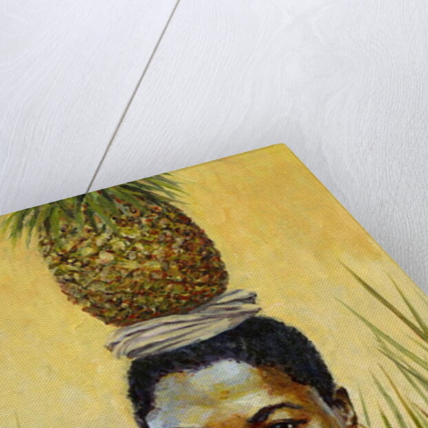 Pineapple Girl, 2004 by Tilly Willis